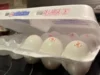 Колорадо рассматривает финансирование продуктовых банков на фоне продолжающейся приостановки работы