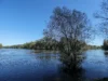 Осторожно при купании: 5 рек Грузии с наибольшим количеством змей, по версии WorldAtlas
